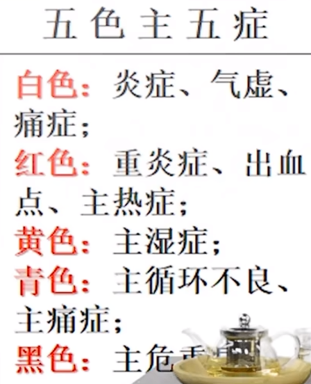 五色主五证