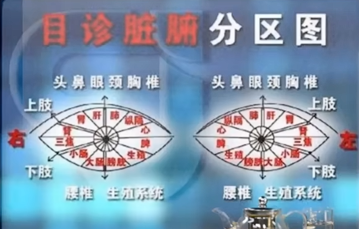 目诊定位图
