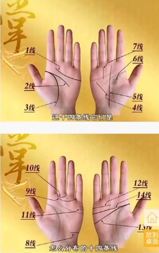 14条线