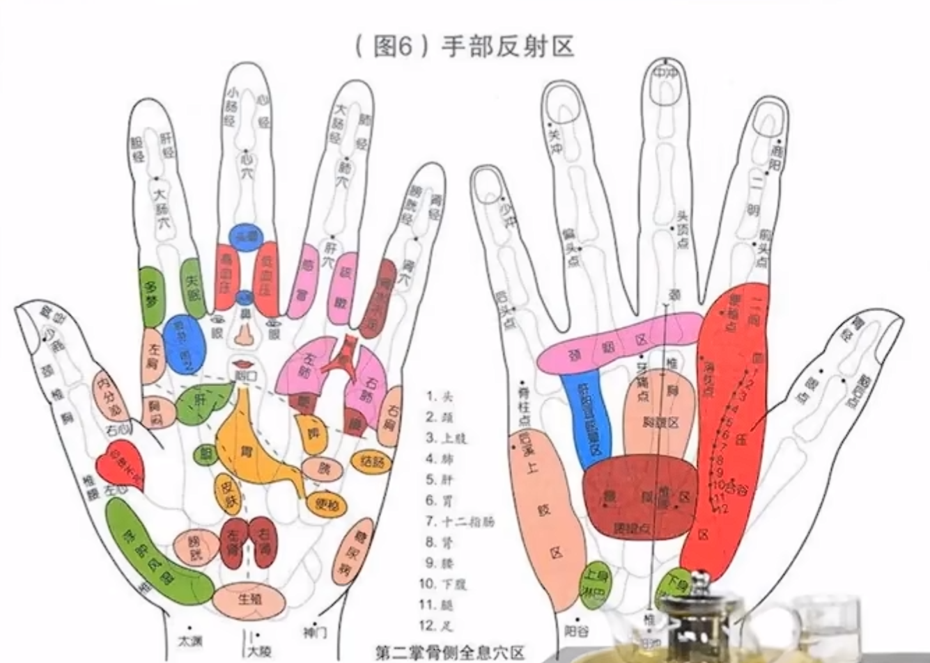 手部反射图
